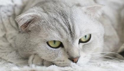 星空体育官网入口：开启属于你的星空体育新纪元