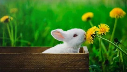 星空体育官网入口：开启属于你的星空体育新纪元